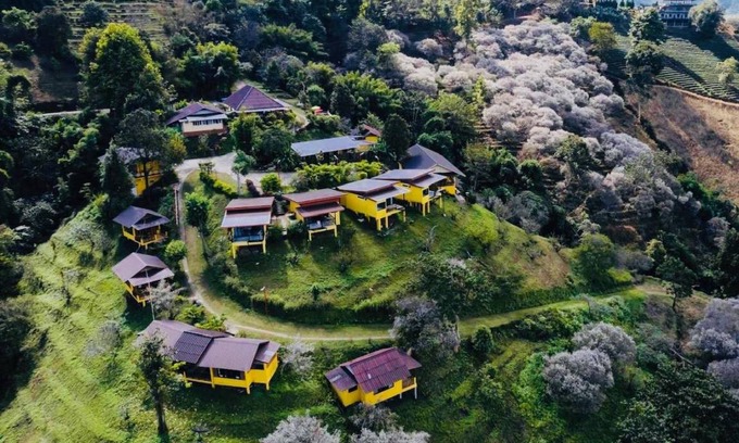 Mae Fa Luang Resort | 68 m² Resort ∙ 10 guests