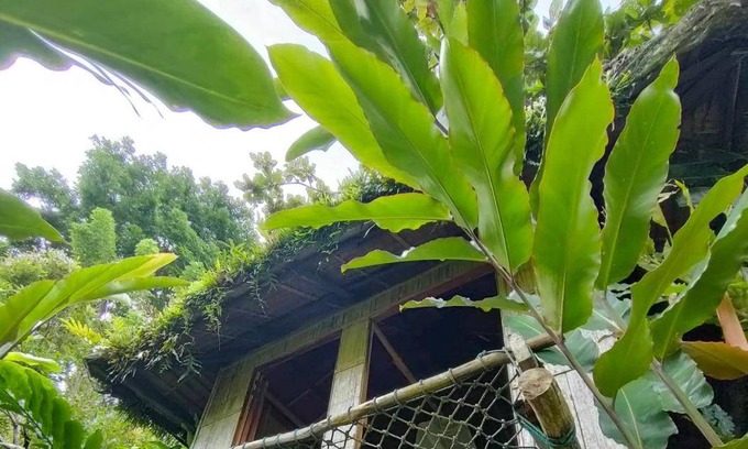 Siquijor Hostel | Hostel ∙ 8 guests