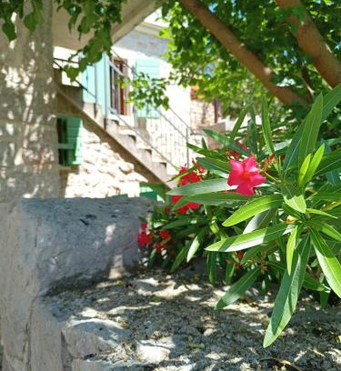Tribanj House | Stone house Adrian