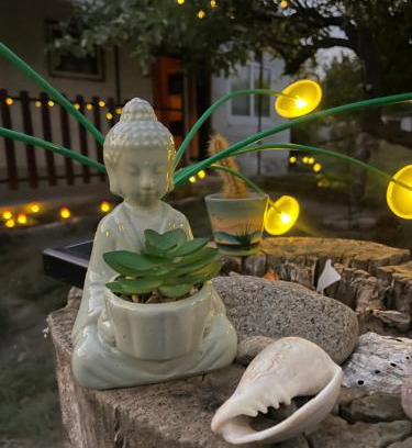 Ozora Hostel | The Ozorian Retreat