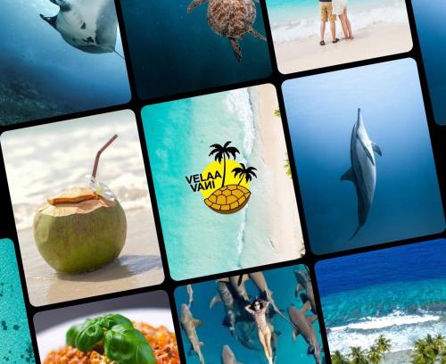 Dhiffushi Hotel | Turtle Hive - Velaa Vani