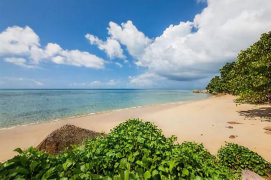 Photo of Outdoor in Anse Bois de Rose