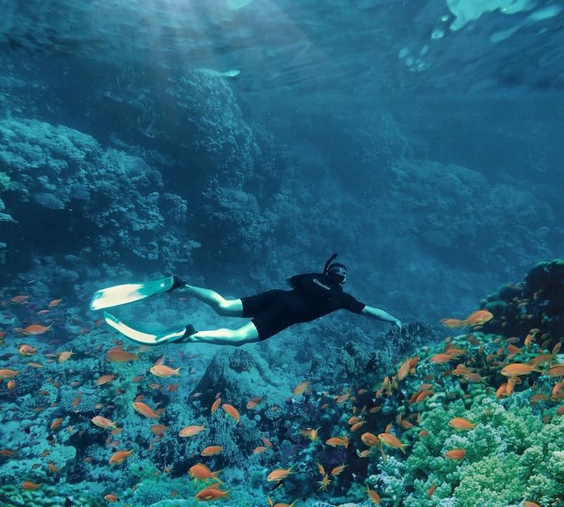 Photo of Outdoor in Sharm El Sheikh