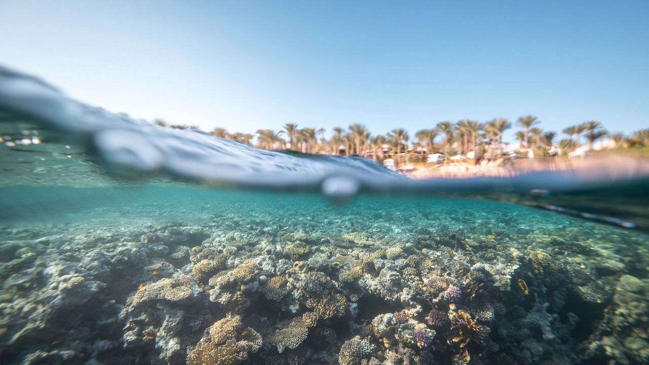 Photo of Outdoor in Sharm El Sheikh