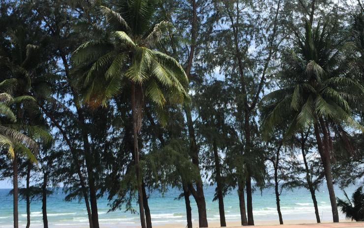 Photo of Buildings in Rayong
