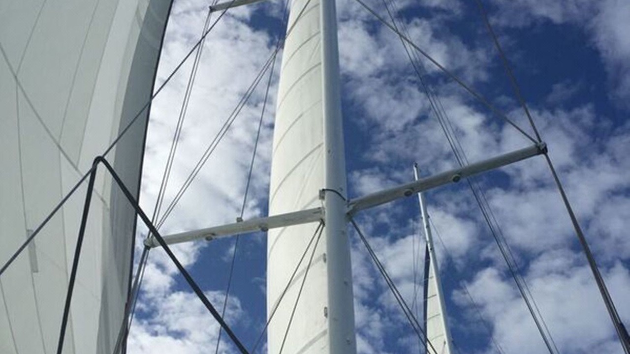 Photo of Others in Port Douglas
