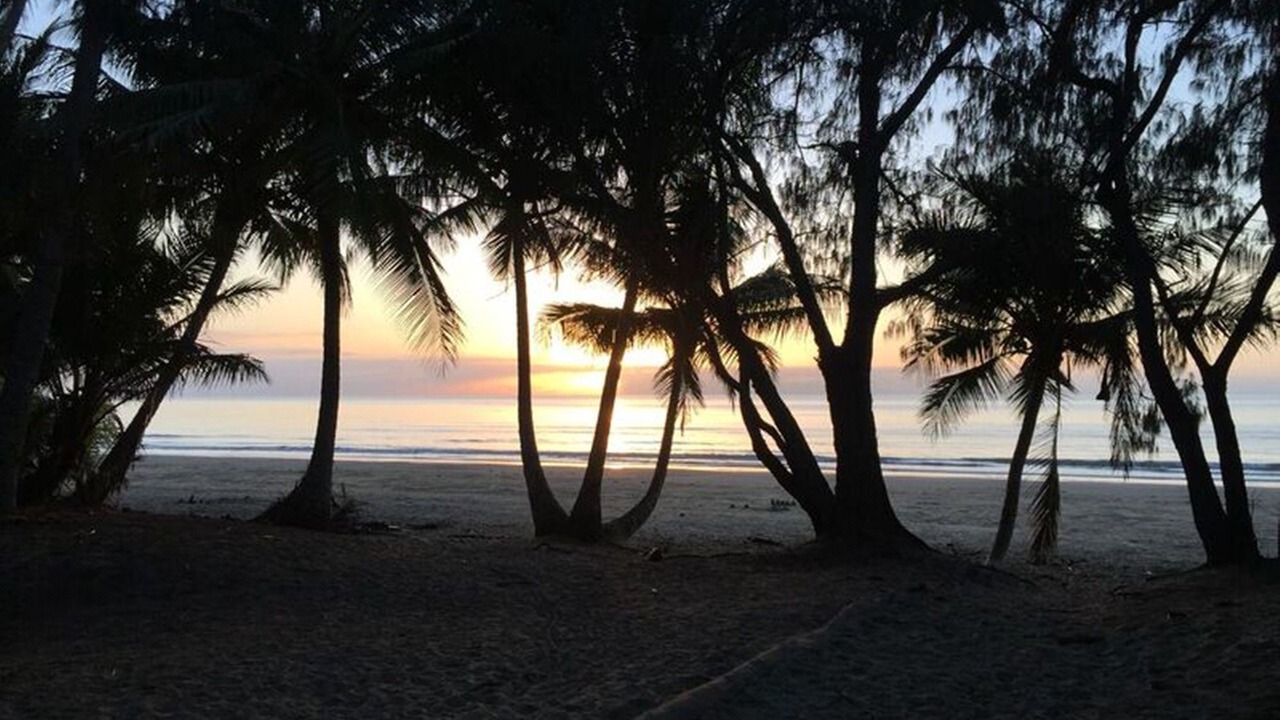 Photo of Others in Port Douglas