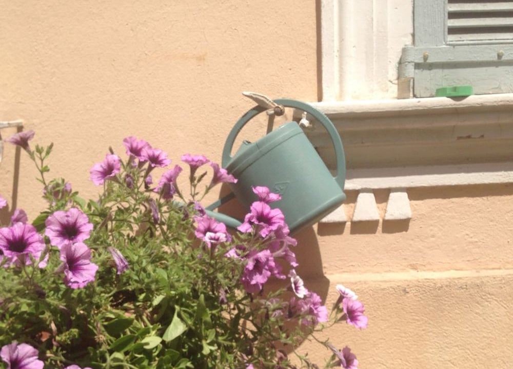 Photo of Others in Le Suquet