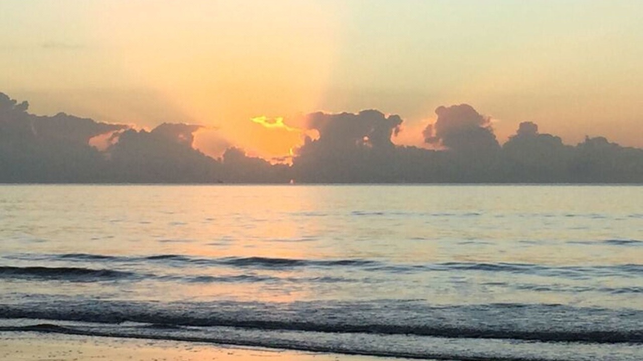 Photo of Outdoor in Port Douglas