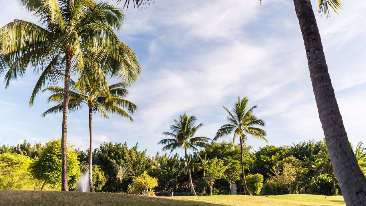 Photo of Outdoor in Port Douglas