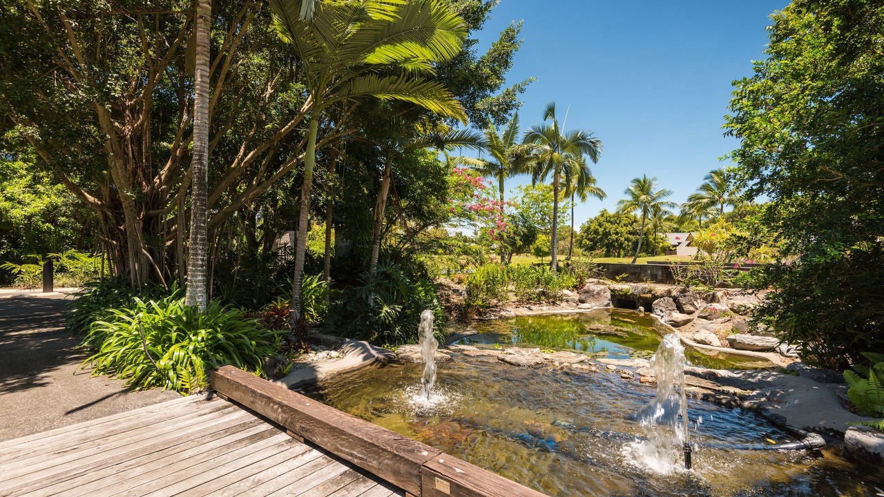 Photo of Others in Port Douglas