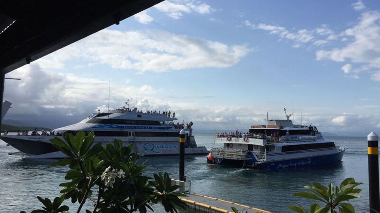 Photo of Others in Port Douglas