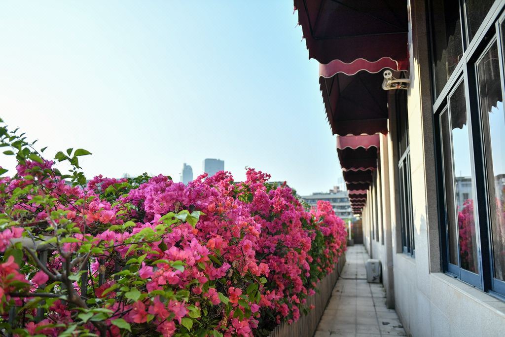 Photo of Others in Siming