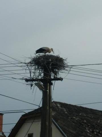 Photo of Others in Regoly