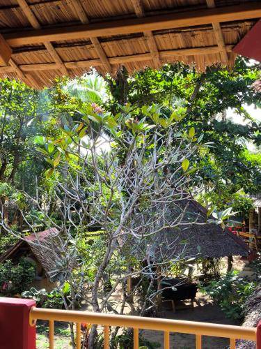 Photo of Others in Sipalay
