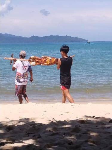 Photo of Others in Port Barton