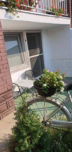Photo of Patio Balcony in Svajcarnica