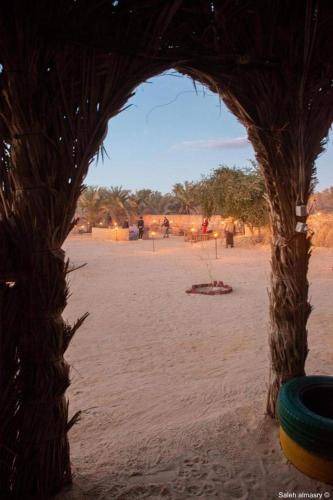 Photo of Others in Siwa
