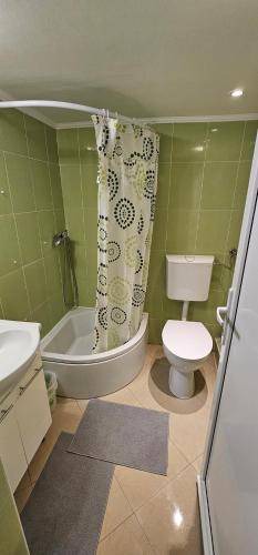 Photo of Bathroom in Svajcarnica