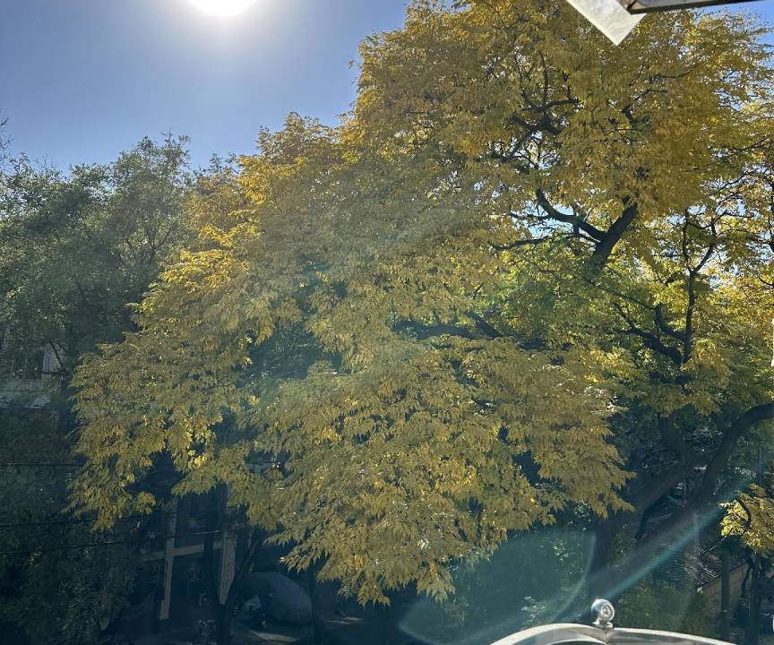 Photo of Others in Downtown Beijing