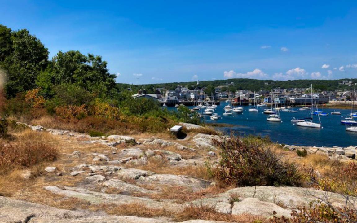 Photo of Others in Rockport