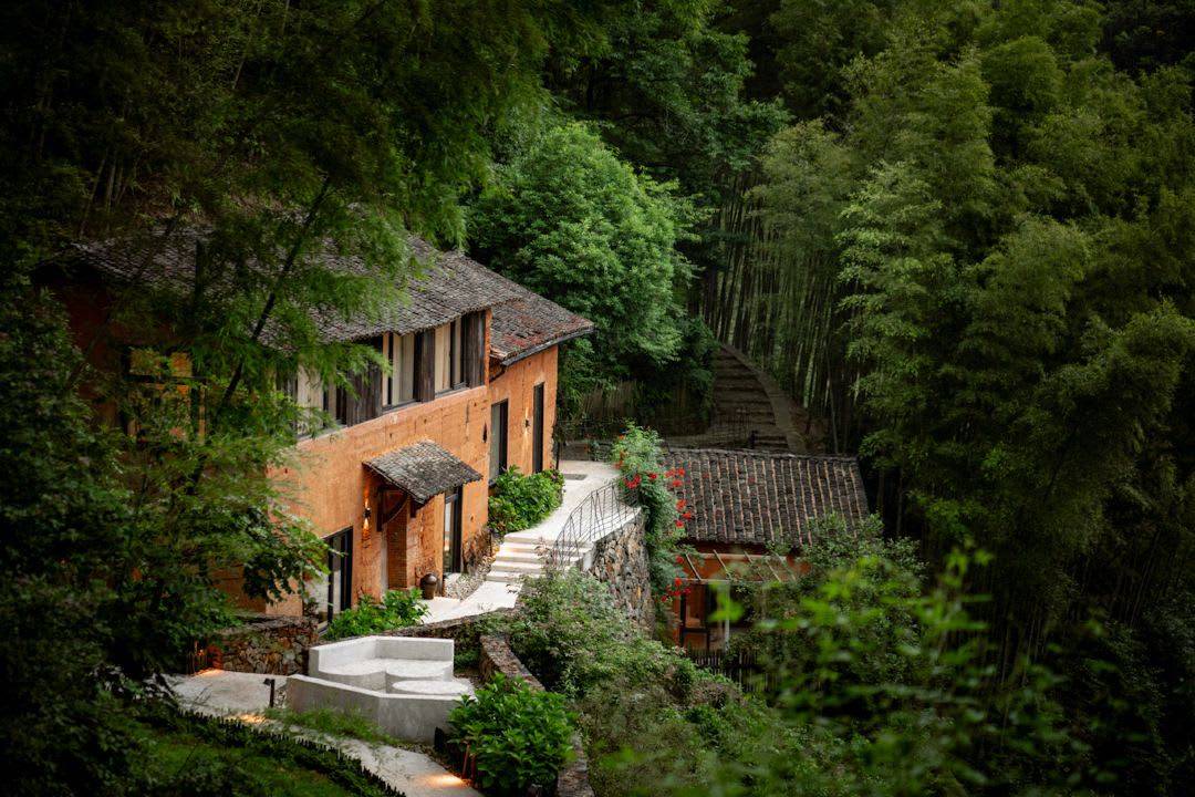 Photo of Others in Lishui