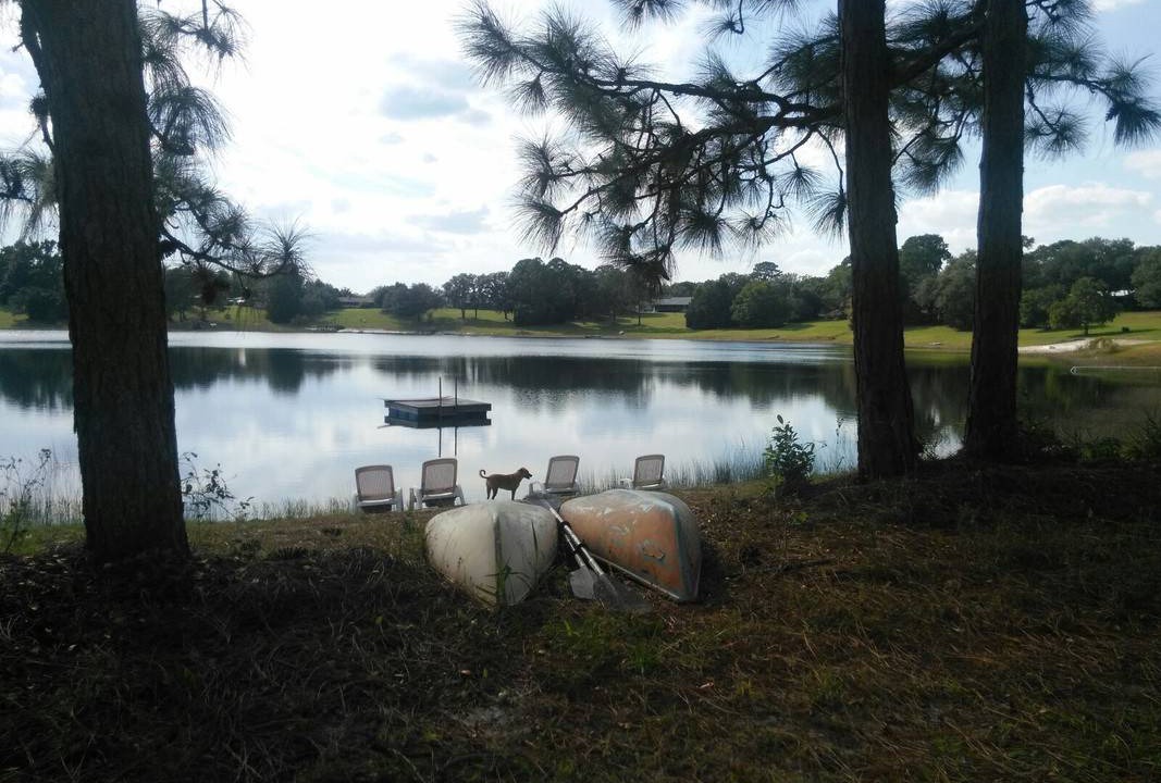 Photo of Others in Ocklawaha