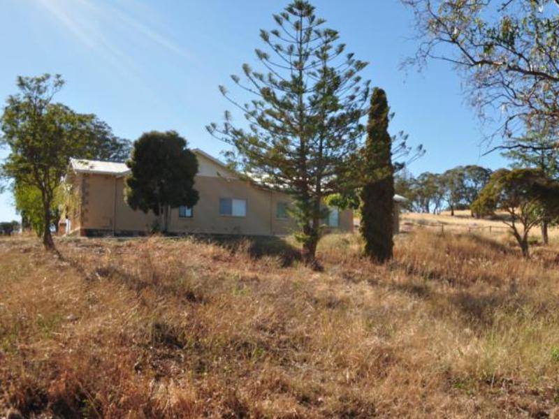 Photo of Others in Angaston