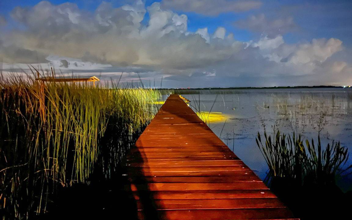Photo of Others in Lake Hamilton