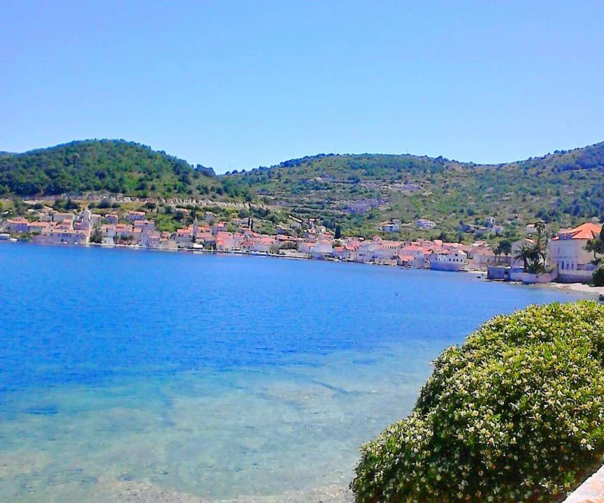 Photo of Others in Vis