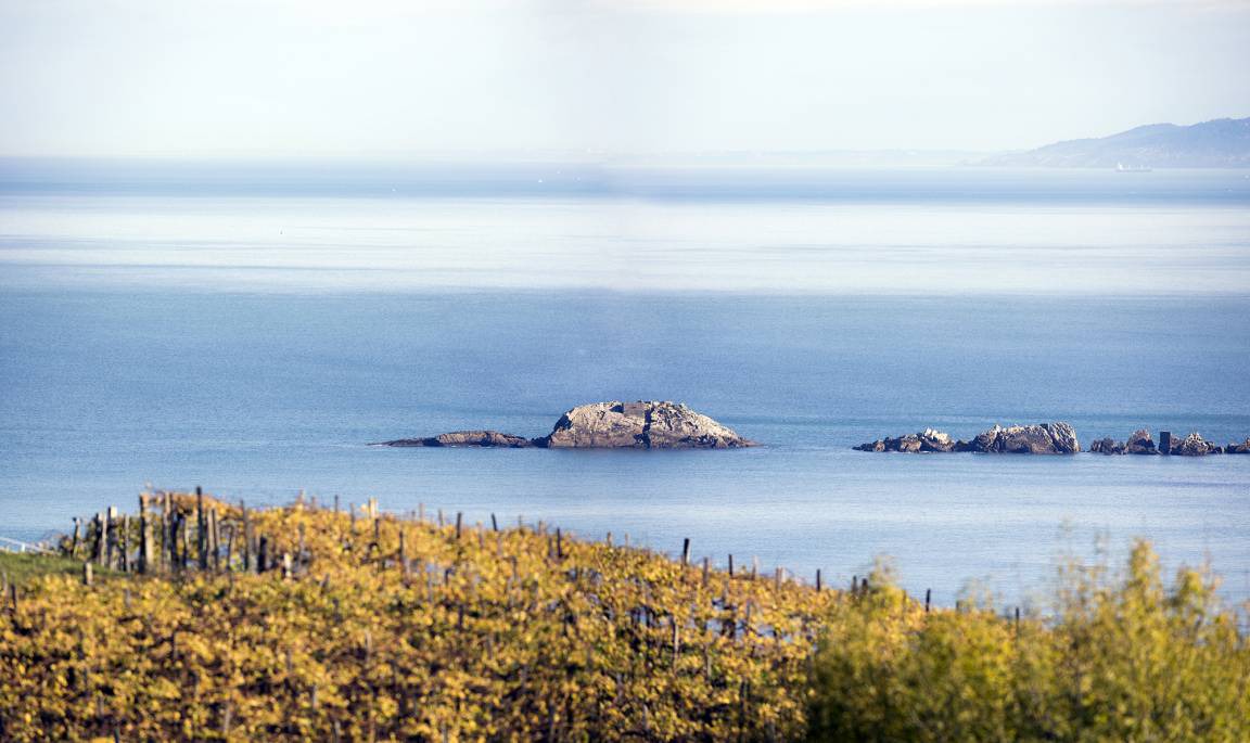 Photo of Others in Zarautz