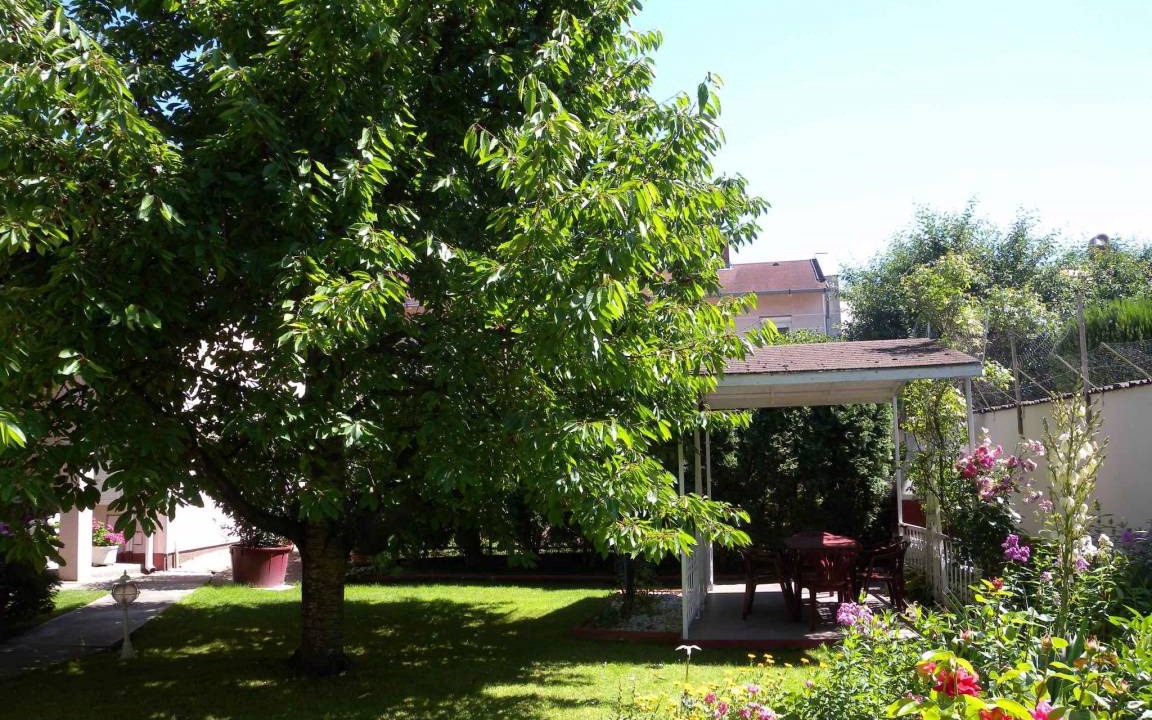 Photo of Others in Siofok
