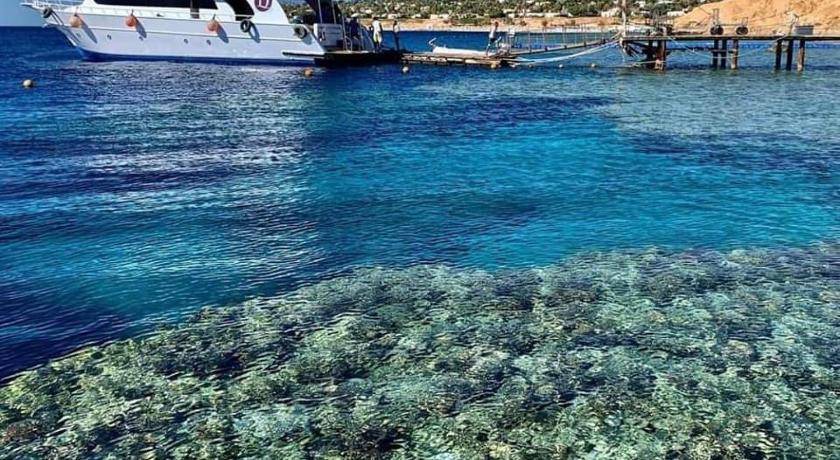 Photo of Others in Sharm El Sheikh