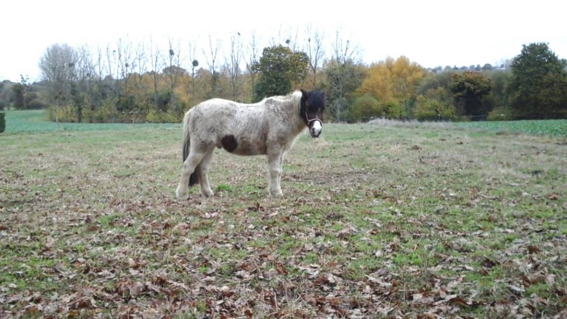 Photo of Others in Sevignac