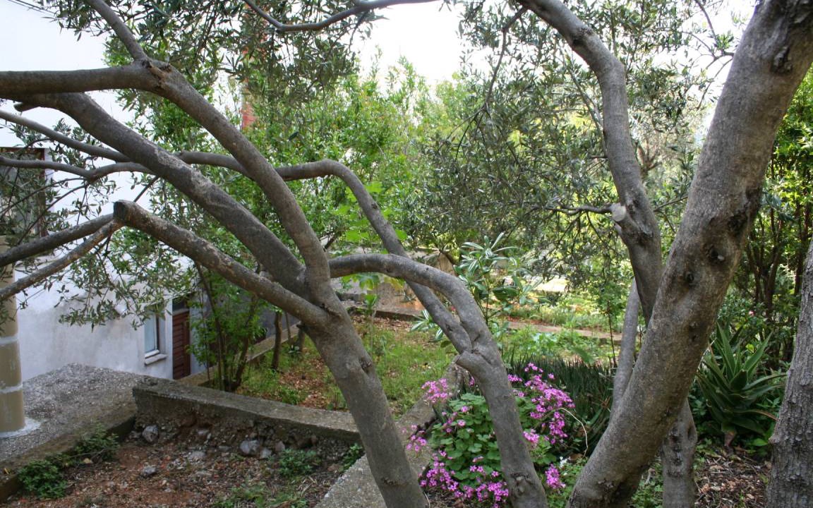 Photo of Others in Podgora