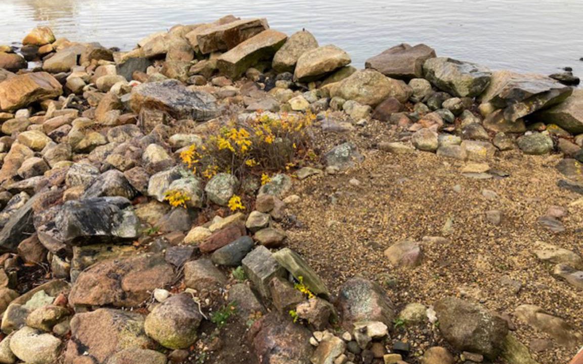 Photo of Others in Rockport