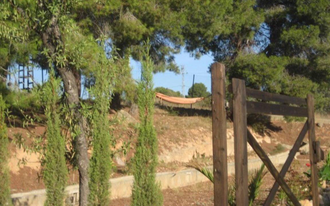 Photo of Others in Pedralba