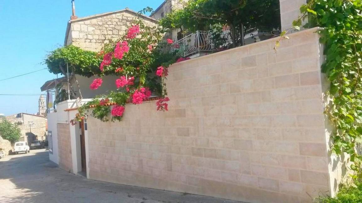 Photo of Others in Vis