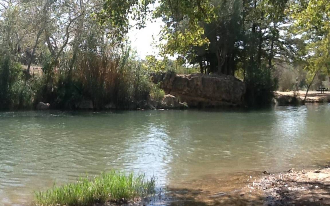 Photo of Others in Pedralba