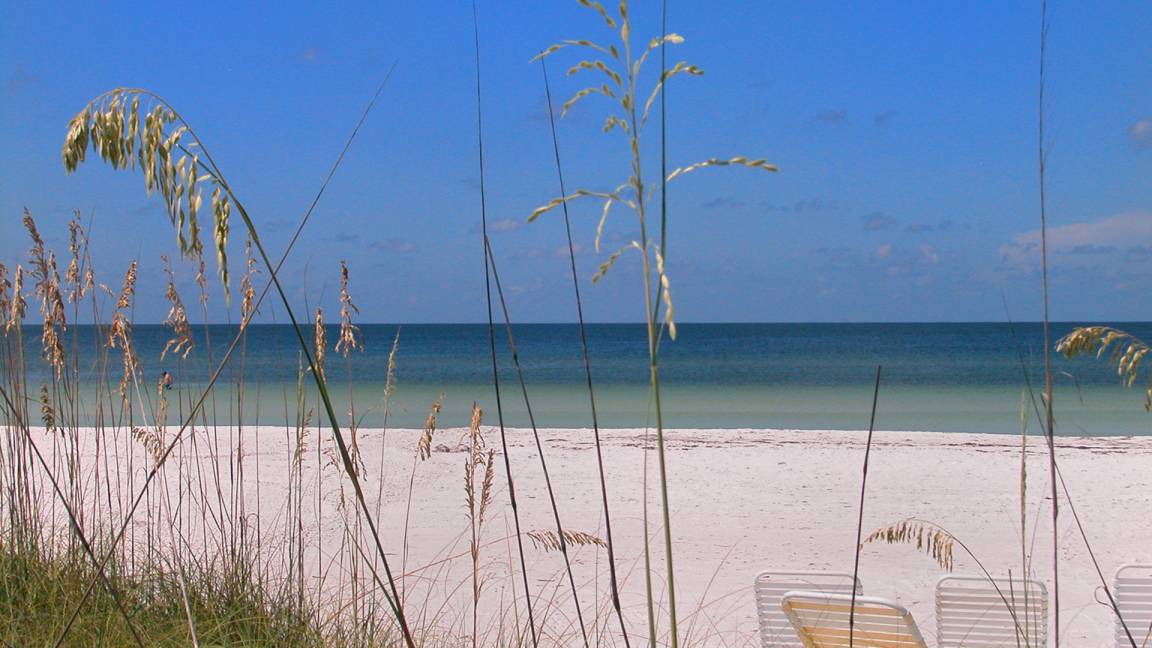 Photo of Others in Siesta Key
