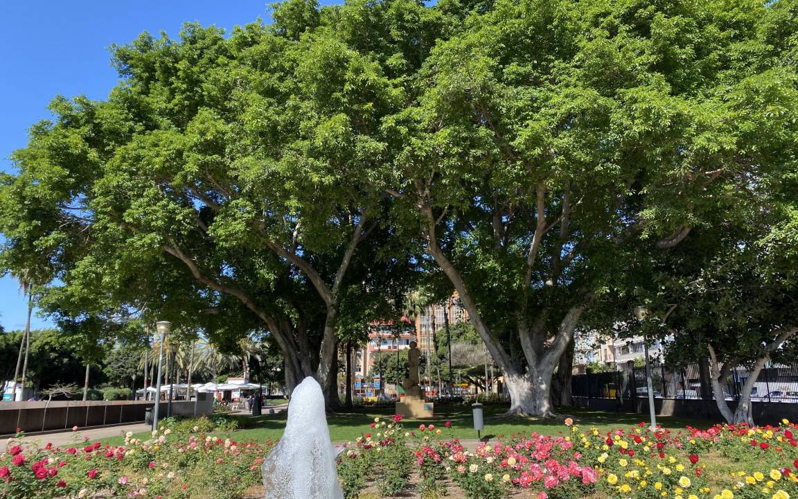 Photo of Others in Las Palmas de Gran Canaria