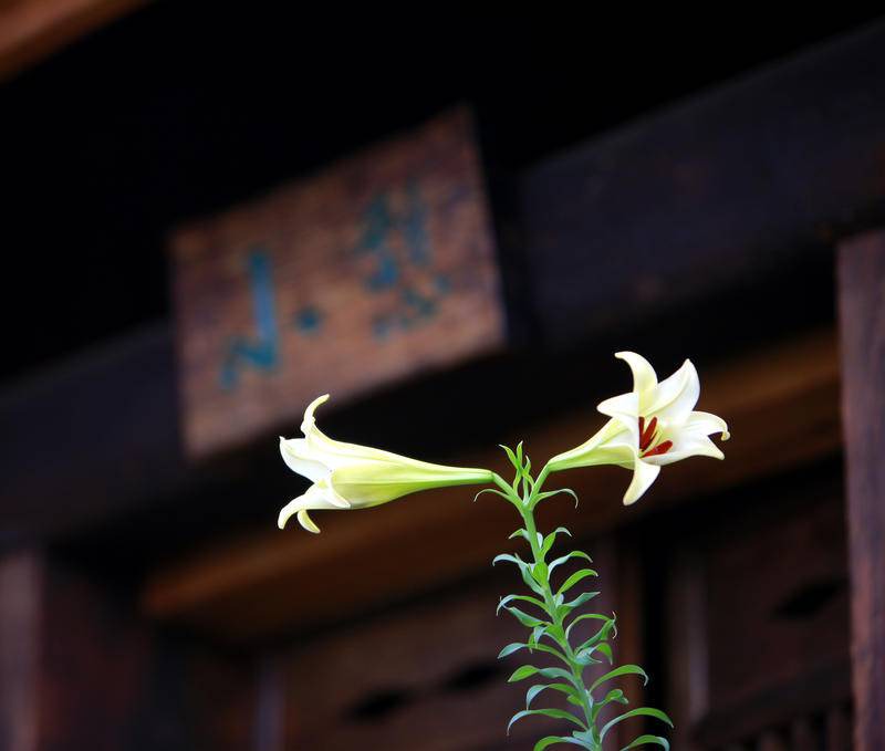 Photo of Others in Yongding