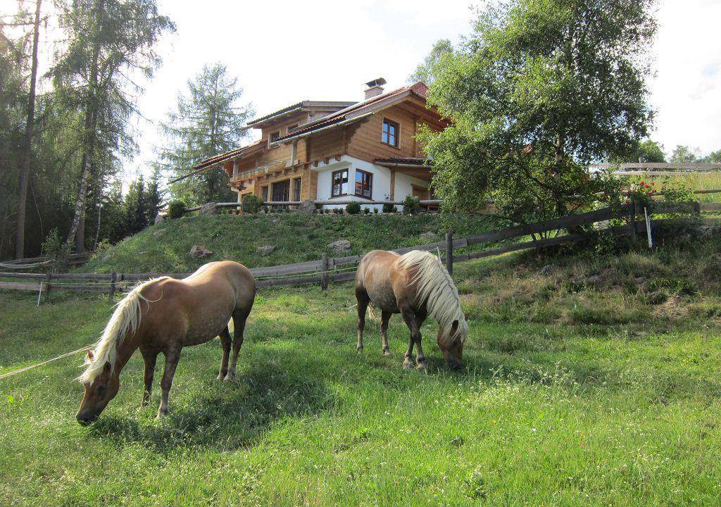 Photo of Others in Neumarkt in Steiermark