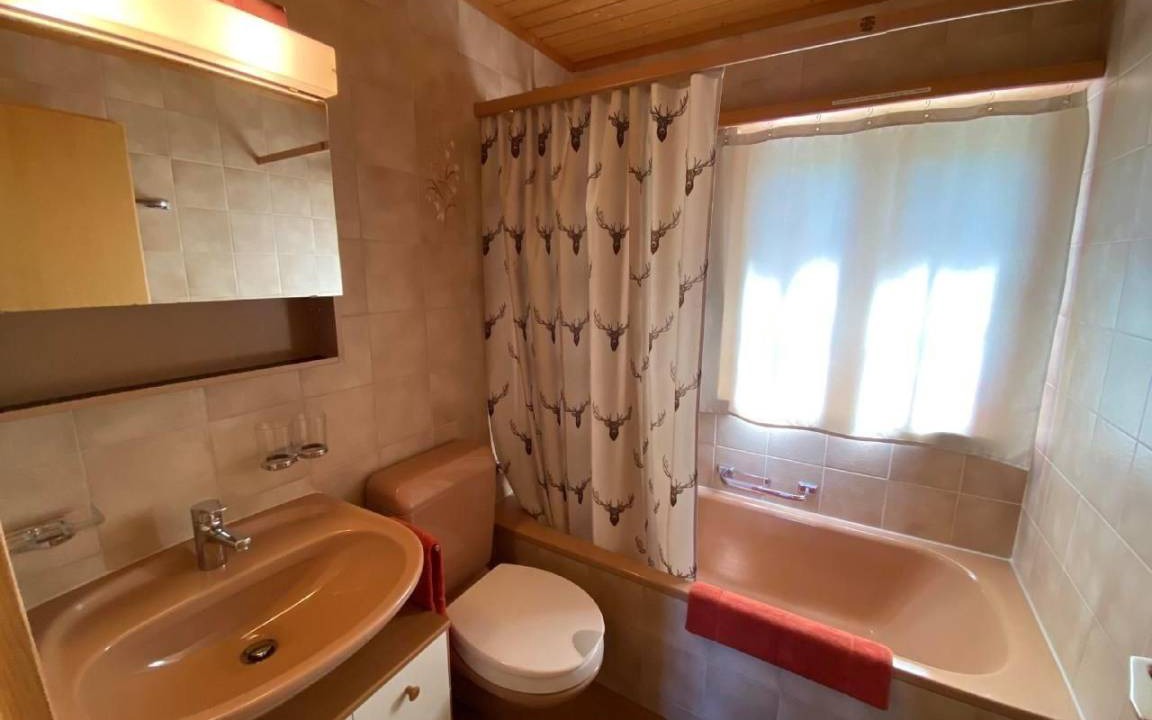 Photo of Bathroom in Axalp