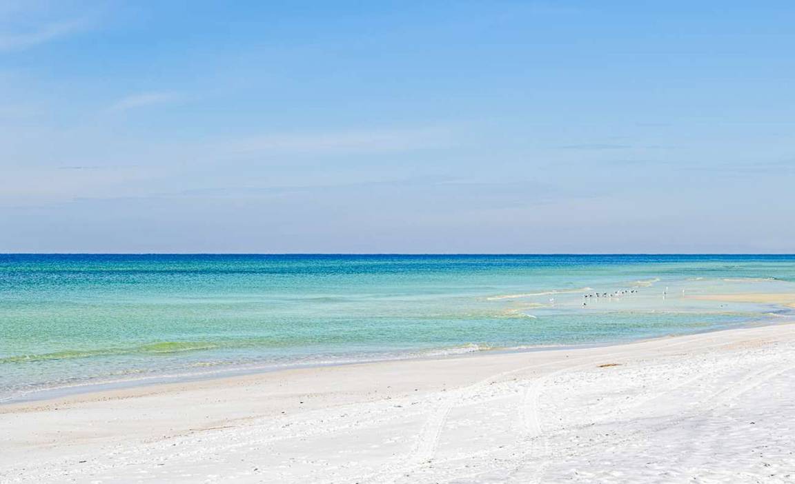 Photo of Others in Panama City Beach