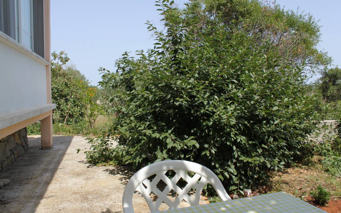 Photo of Others in Bozava