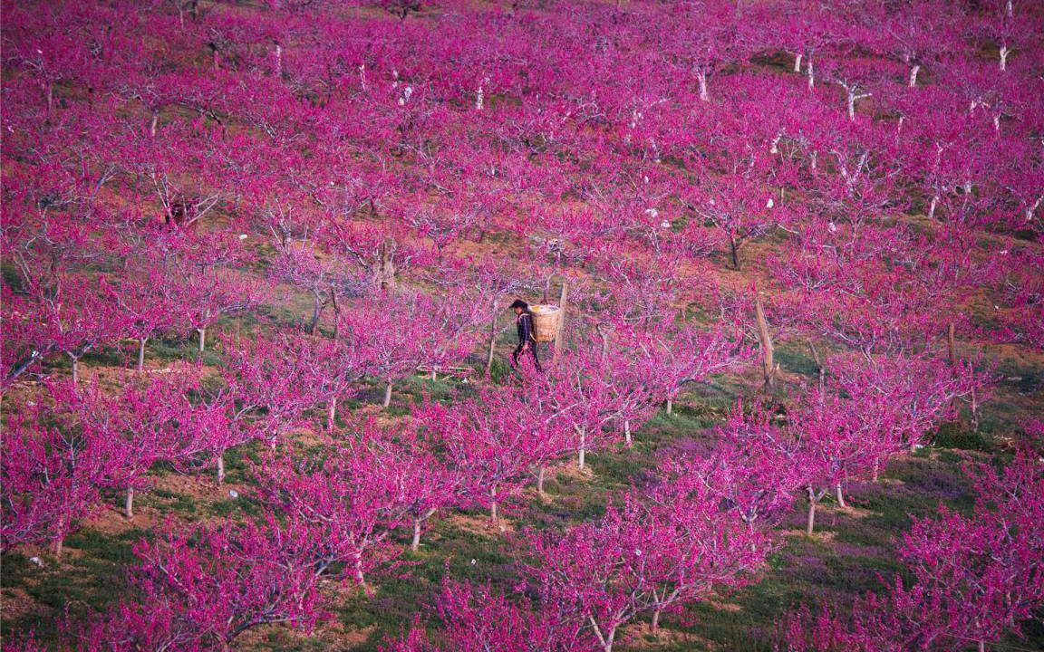 Photo of Others in Yulong