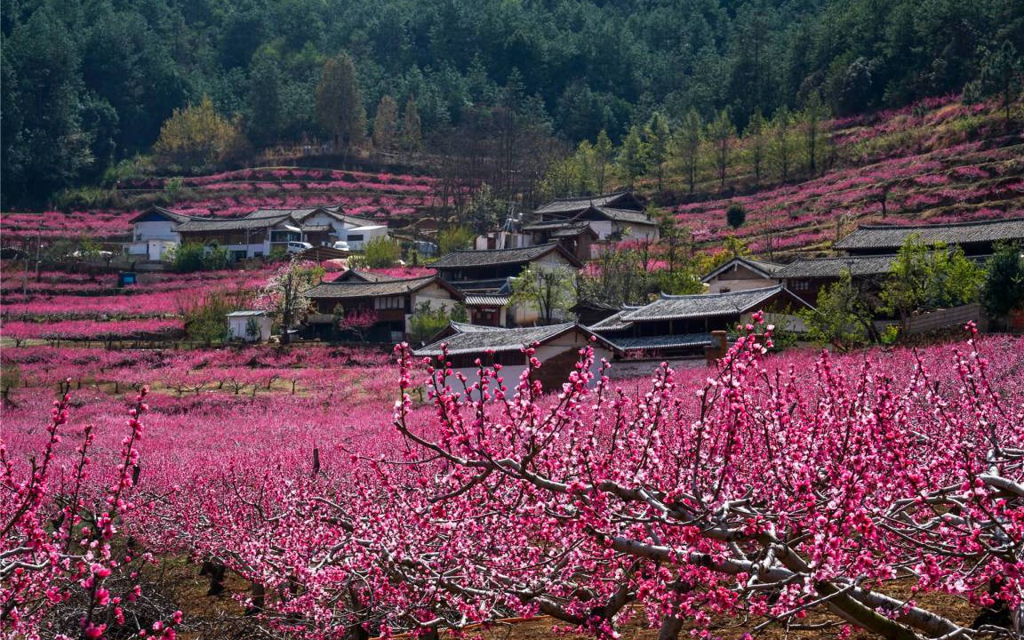 Photo of Others in Yulong