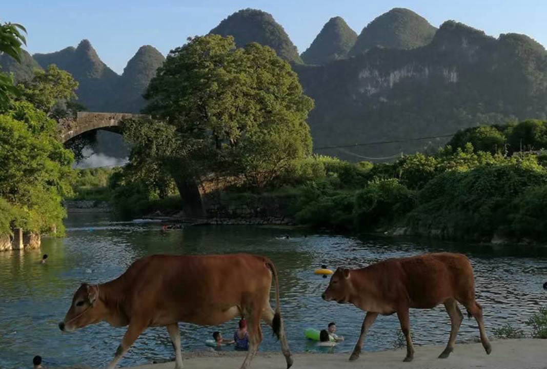 Photo of Others in Yangshuo