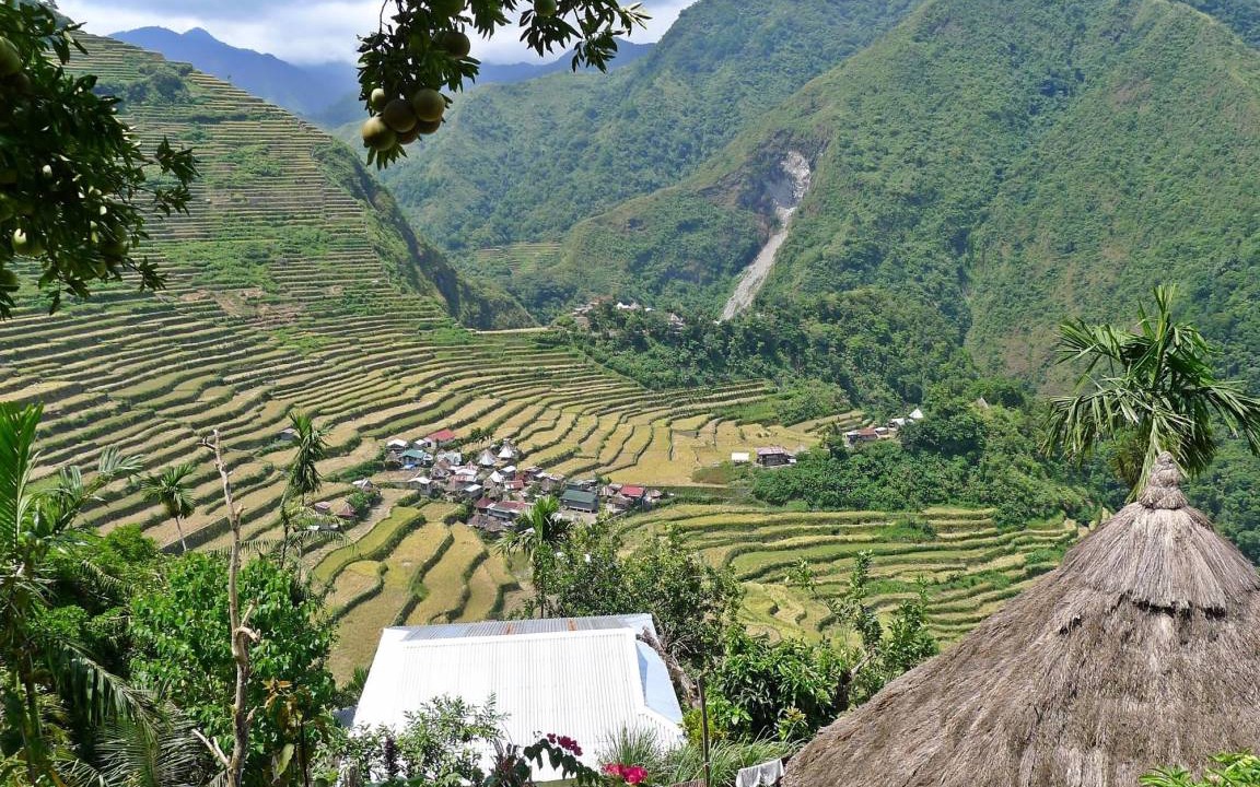 Photo of Others in Batad